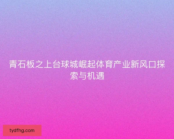 青石板之上台球城崛起体育产业新风口探索与机遇