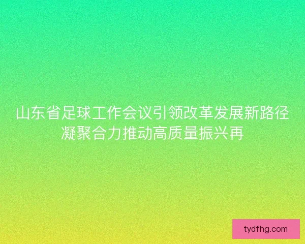 山东省足球工作会议引领改革发展新路径凝聚合力推动高质量振兴再